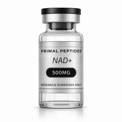 NAD+ 500MG – NAD+ in glazen vial